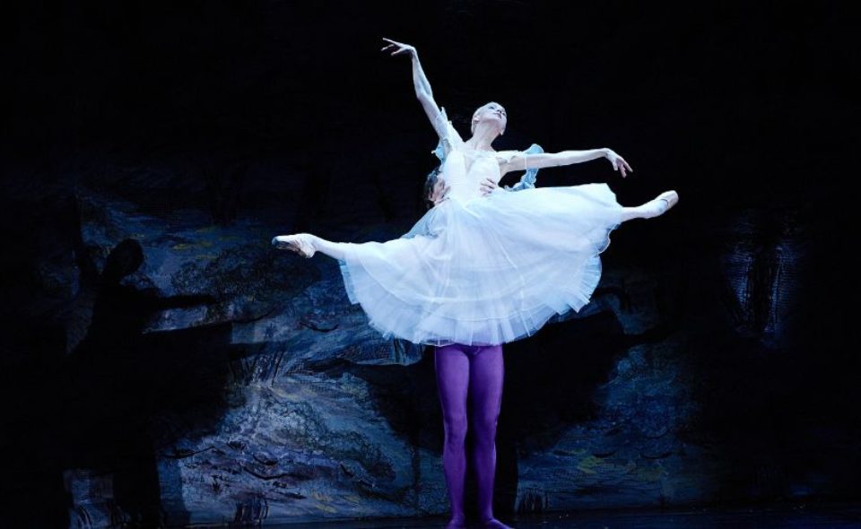«Мировые балетные каникулы»